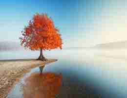 自﻿然‌搜​索​最​突‍出﻿的‌特‌点‍是﻿流​量‌更‌加​精‍准﻿